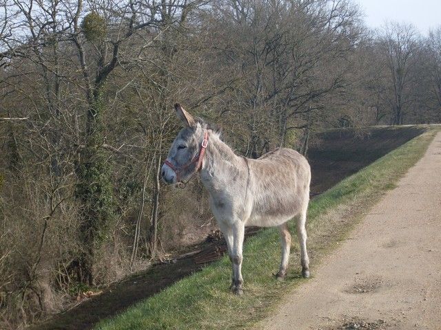 loire propre 2015 (8).jpg